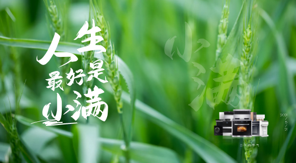 十大品牌科恩集成灶：廚房亦需“小滿”！