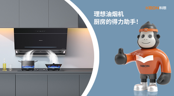 理想油煙機(jī)：廚房的得力助手！